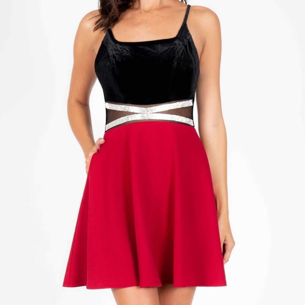 Tanya Skater Dress